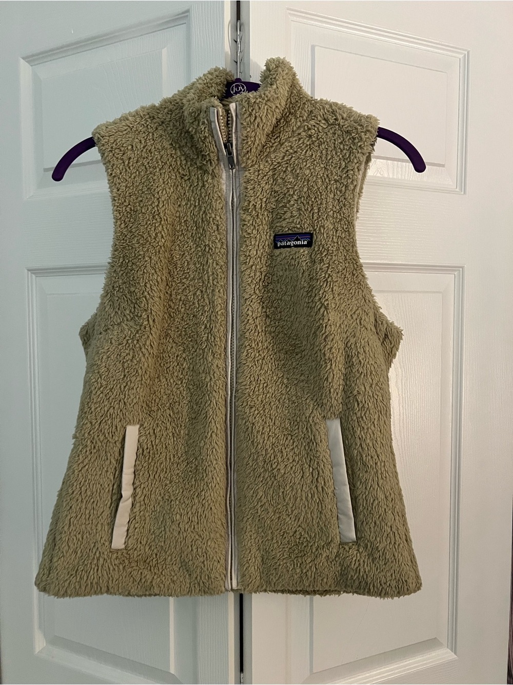 Patagonia Fleece Vest